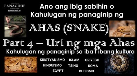 ibig sabihin ng panaginip na ahas